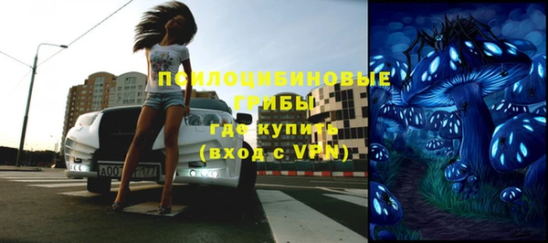 бошки Аркадак