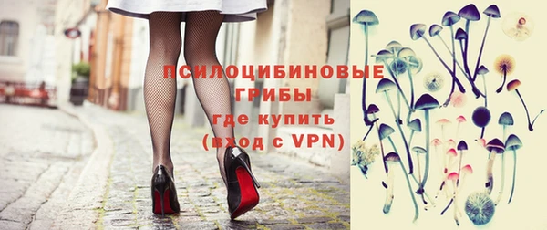 бошки Аркадак