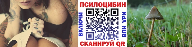 Псилоцибиновые грибы Psilocybine cubensis Купить Дальнереченск
