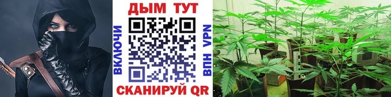 Каннабис тримм  Купить где  Дальнереченск 